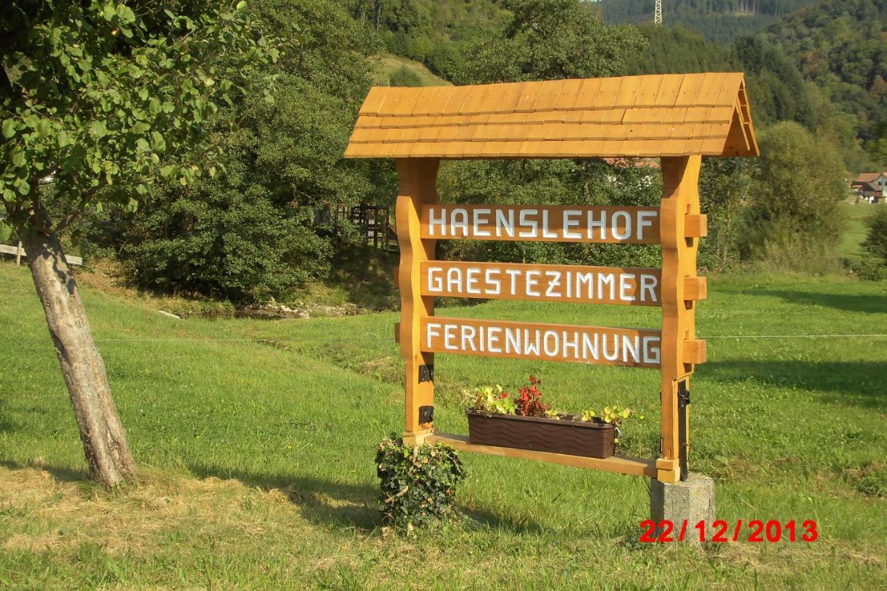 Urlaub Auf Dem Haenslehof Apartment Elzach Exterior photo